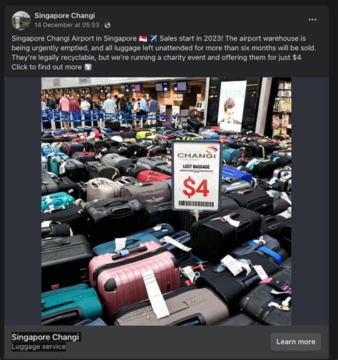 singapore luggage scam